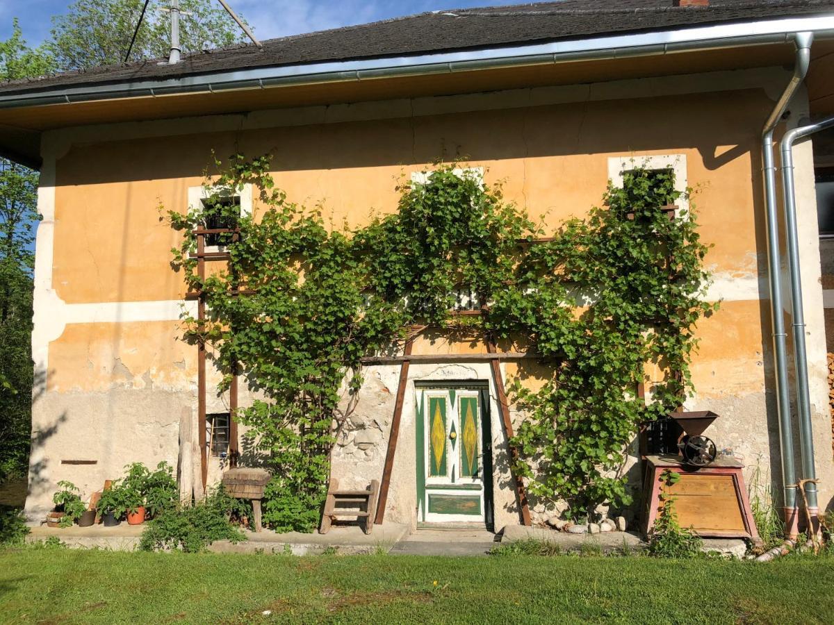 Ferienwohnung Klampfermuehle Vorchdorf Exterior foto